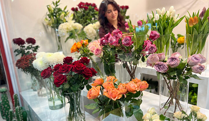 Urfa’da tek kadın çiçek tasarımcısı: Blooma Flower Studio – Didem Karaçalı