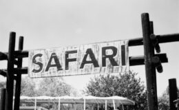 Marmaris’te Eğlencenin Keyfi: At Safari!