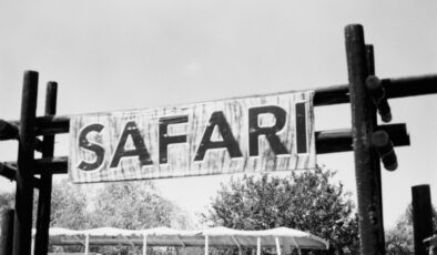 Marmaris’te Eğlencenin Keyfi: At Safari!