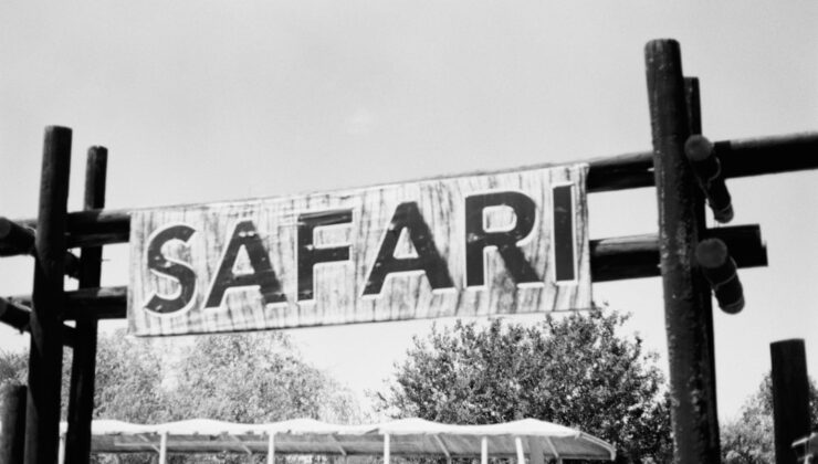 Marmaris’te Eğlencenin Keyfi: At Safari!