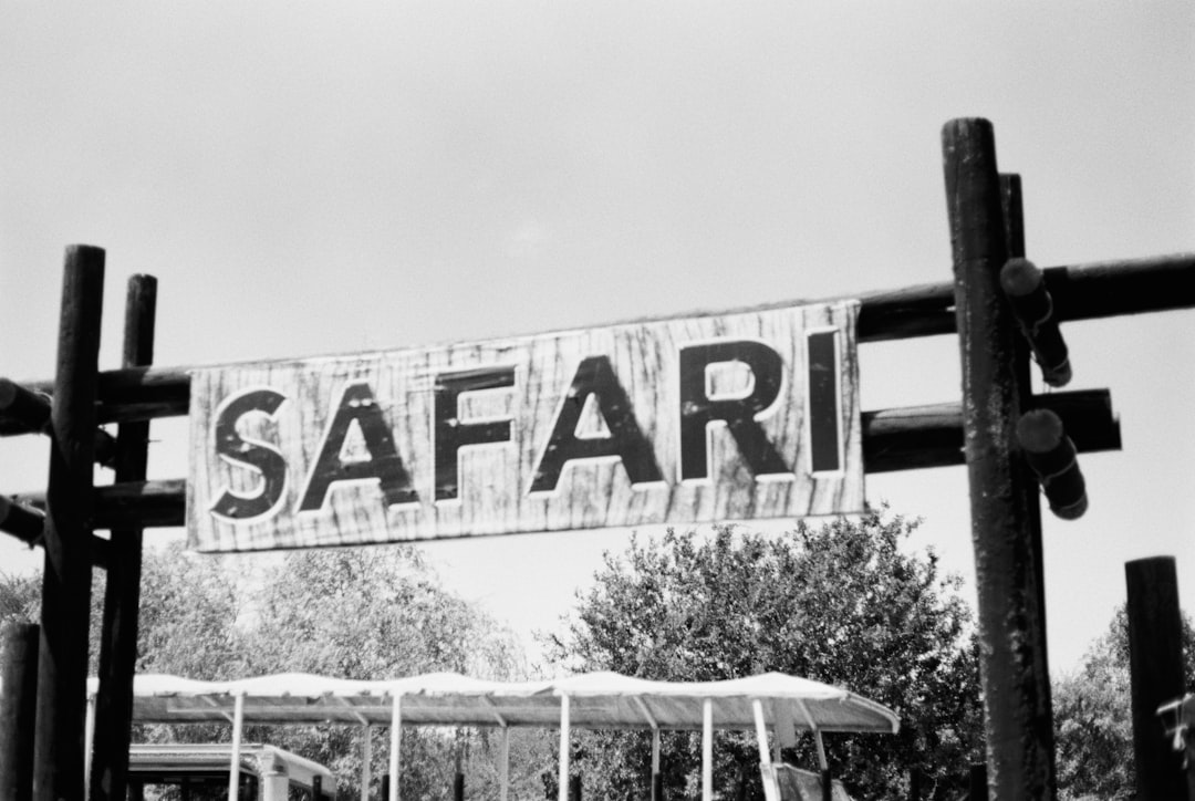 Marmaris’te Eğlencenin Keyfi: At Safari!