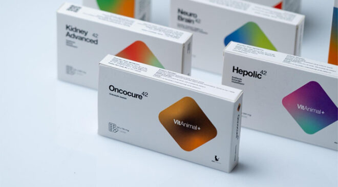 Vitanimal’den Kedi Sağlığında İki Yeni Dönüm Noktası: